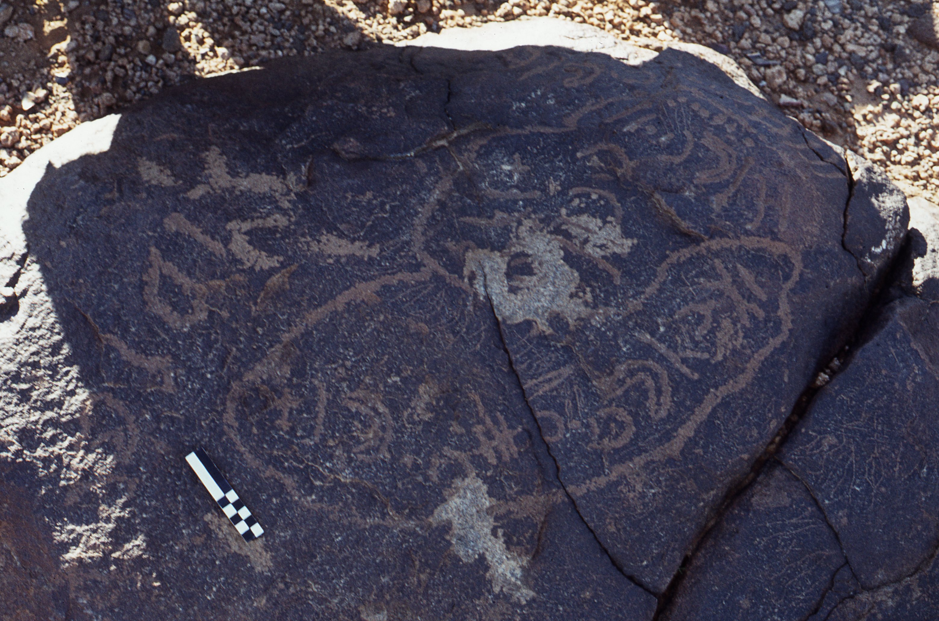 inscription of siglum CEDS 252