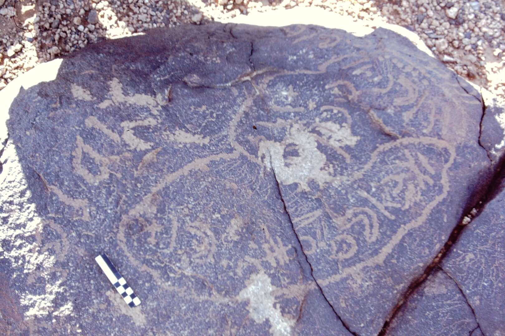 inscription of siglum CEDS 254