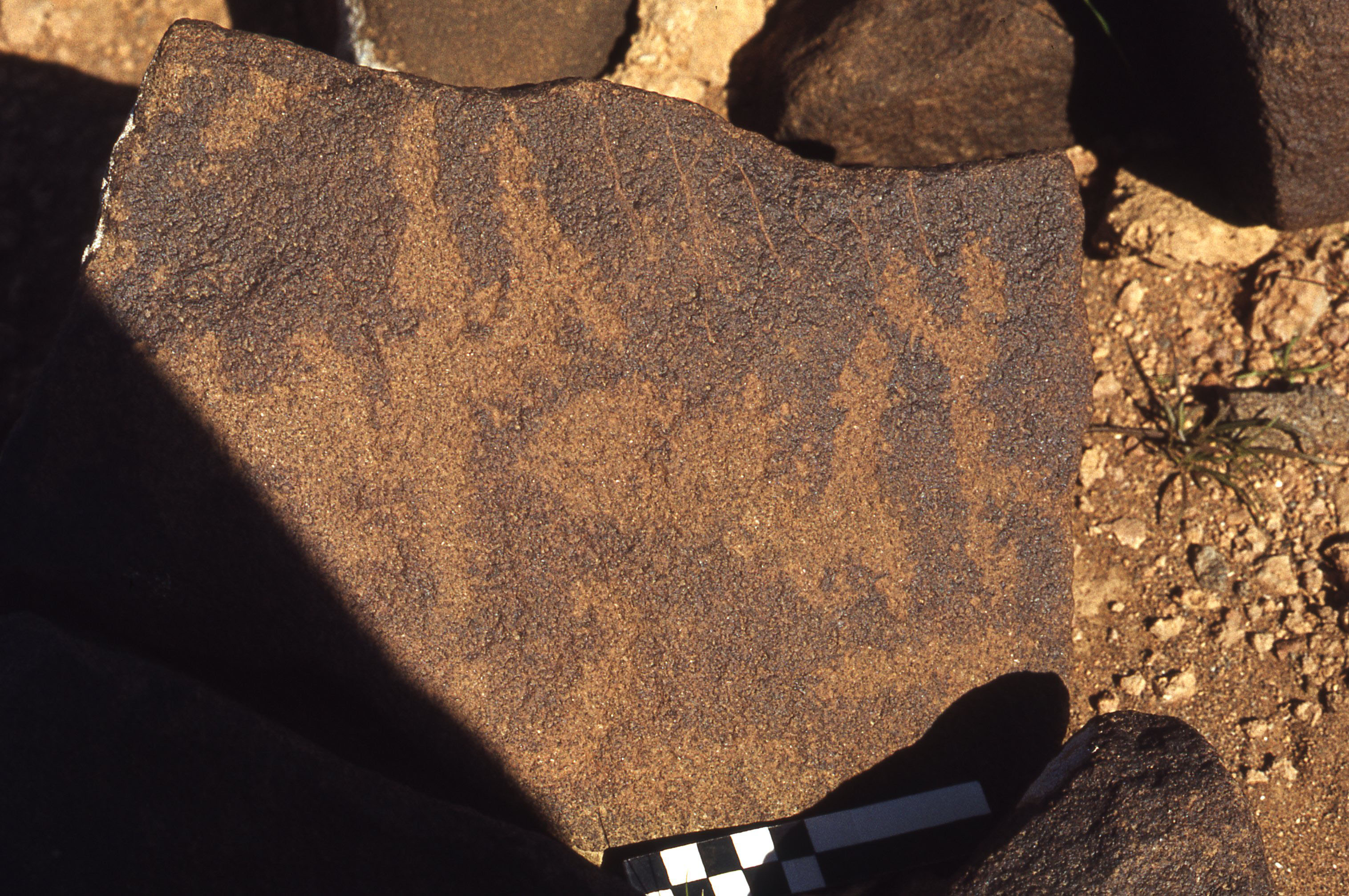 inscription of siglum CEDS 261