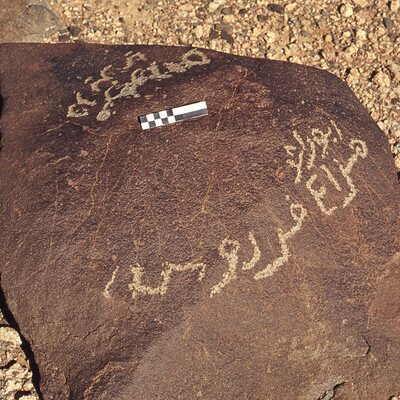 inscription of siglum CEDS 262