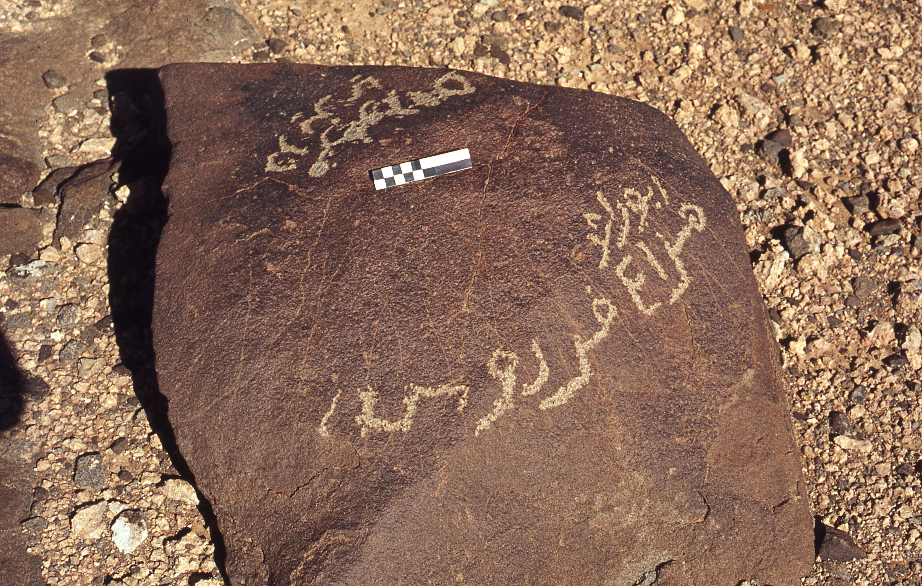 inscription of siglum CEDS 262
