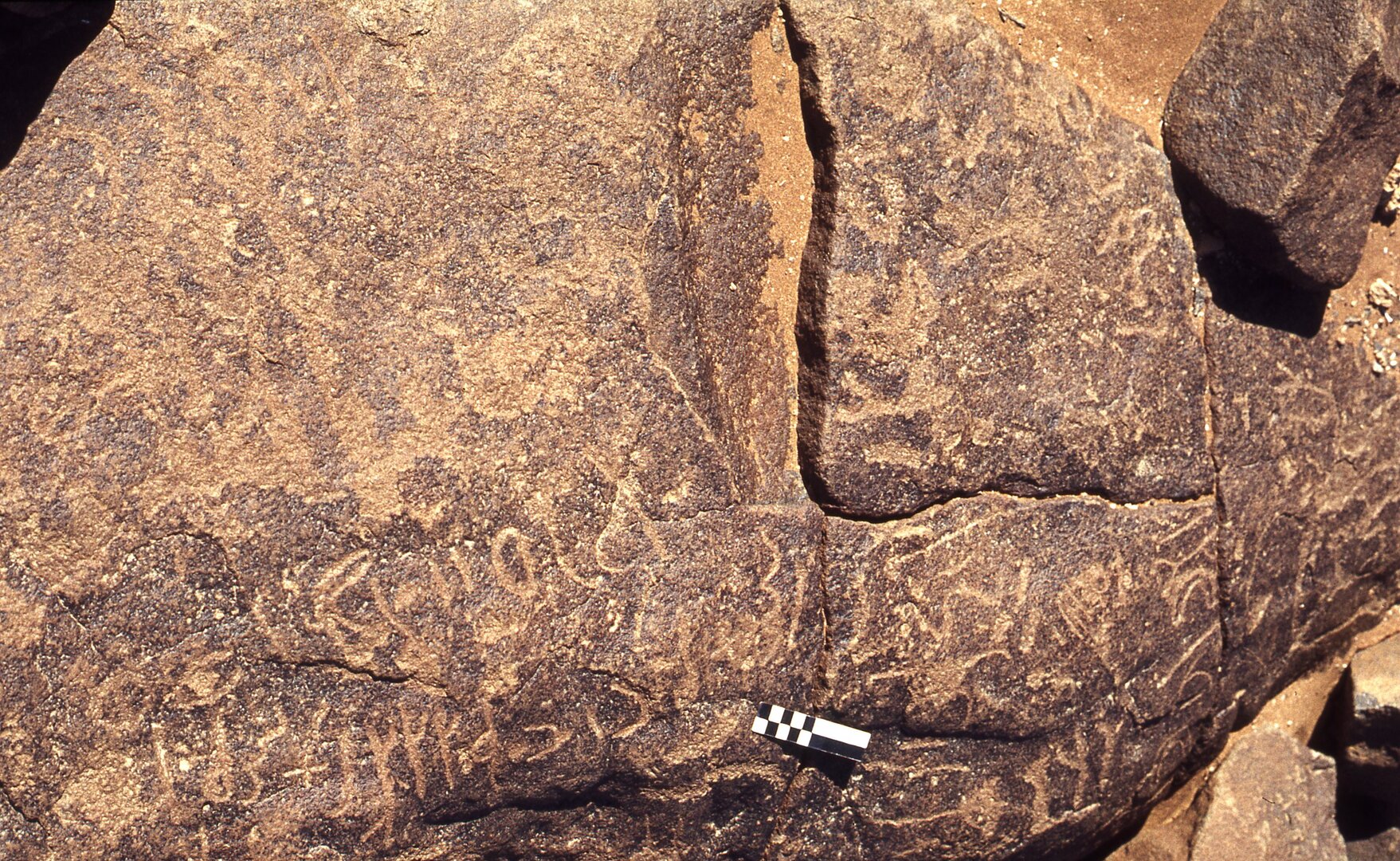 inscription of siglum CEDS 263