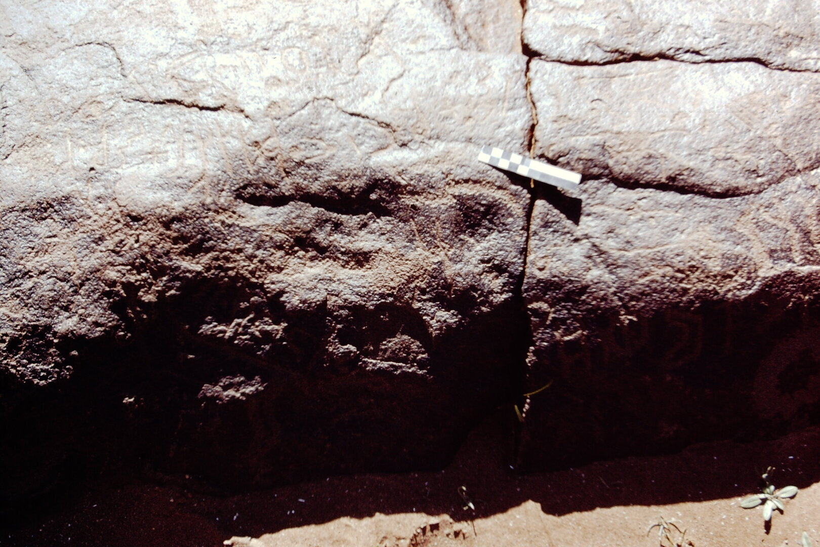 inscription of siglum CEDS 263