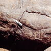 inscription of siglum CEDS 265