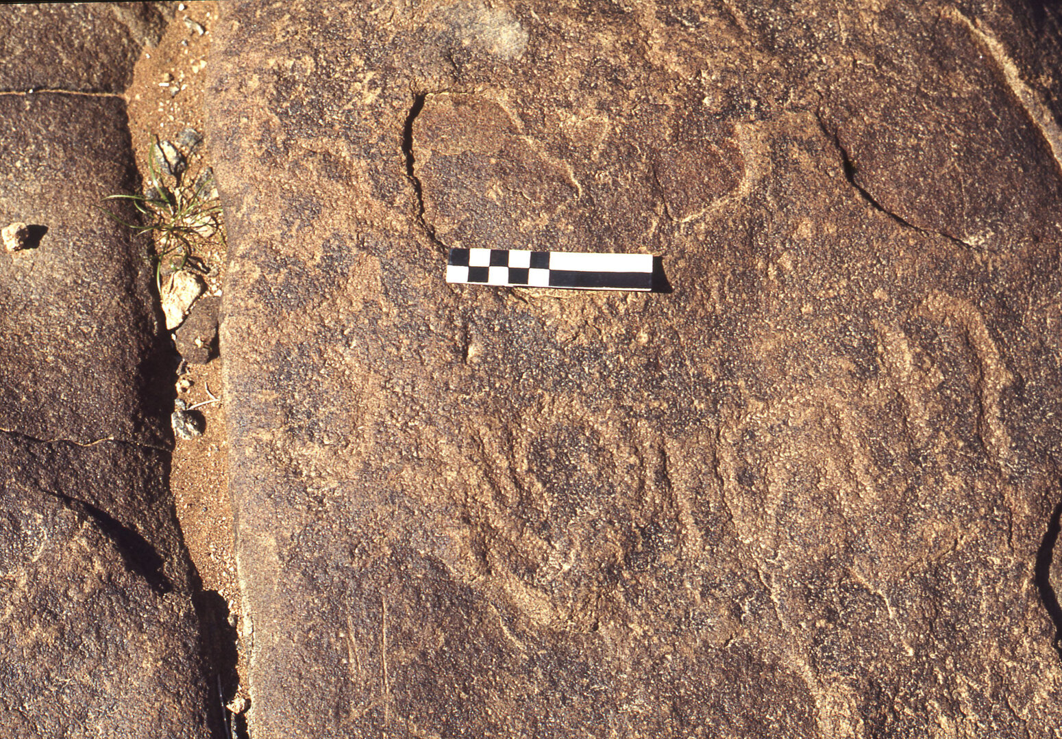 inscription of siglum CEDS 271
