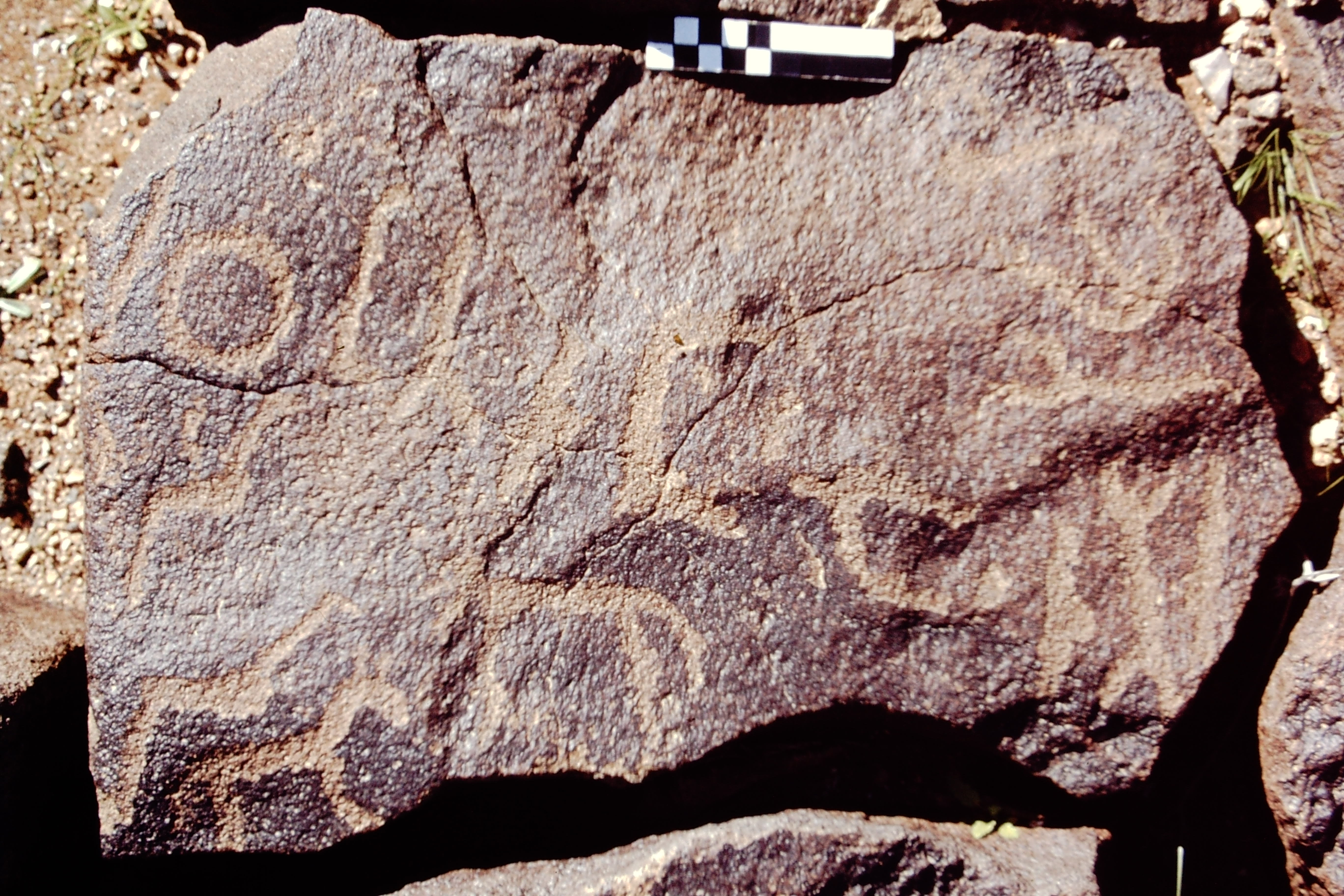 inscription of siglum CEDS 279