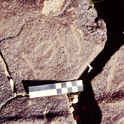 inscription of siglum CEDS 280