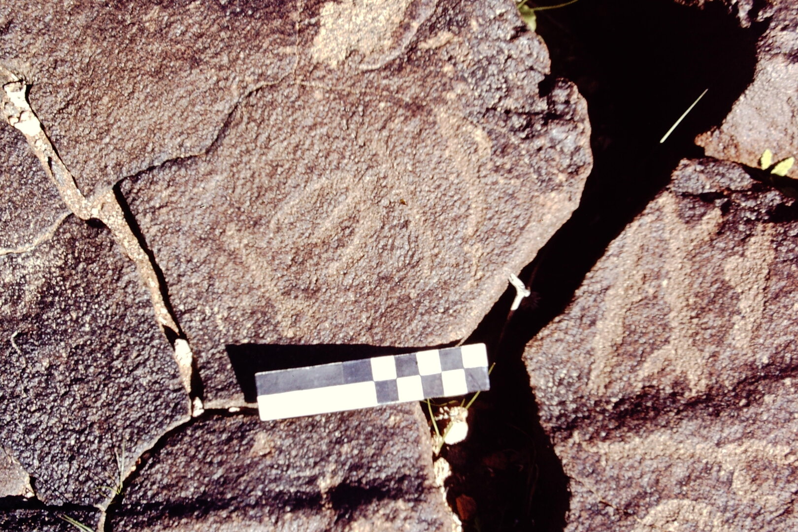 inscription of siglum CEDS 280
