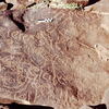 inscription of siglum CEDS 284