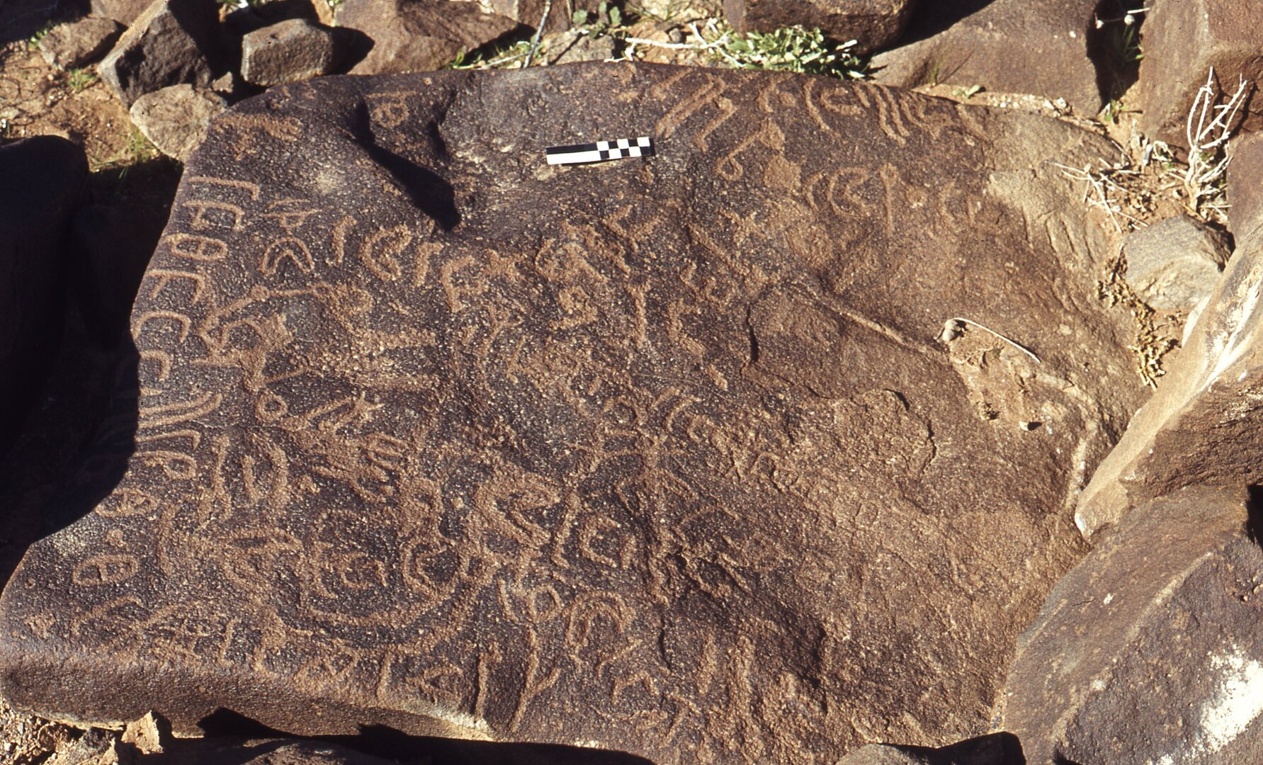 inscription of siglum CEDS 295