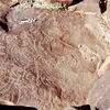 inscription of siglum CEDS 295
