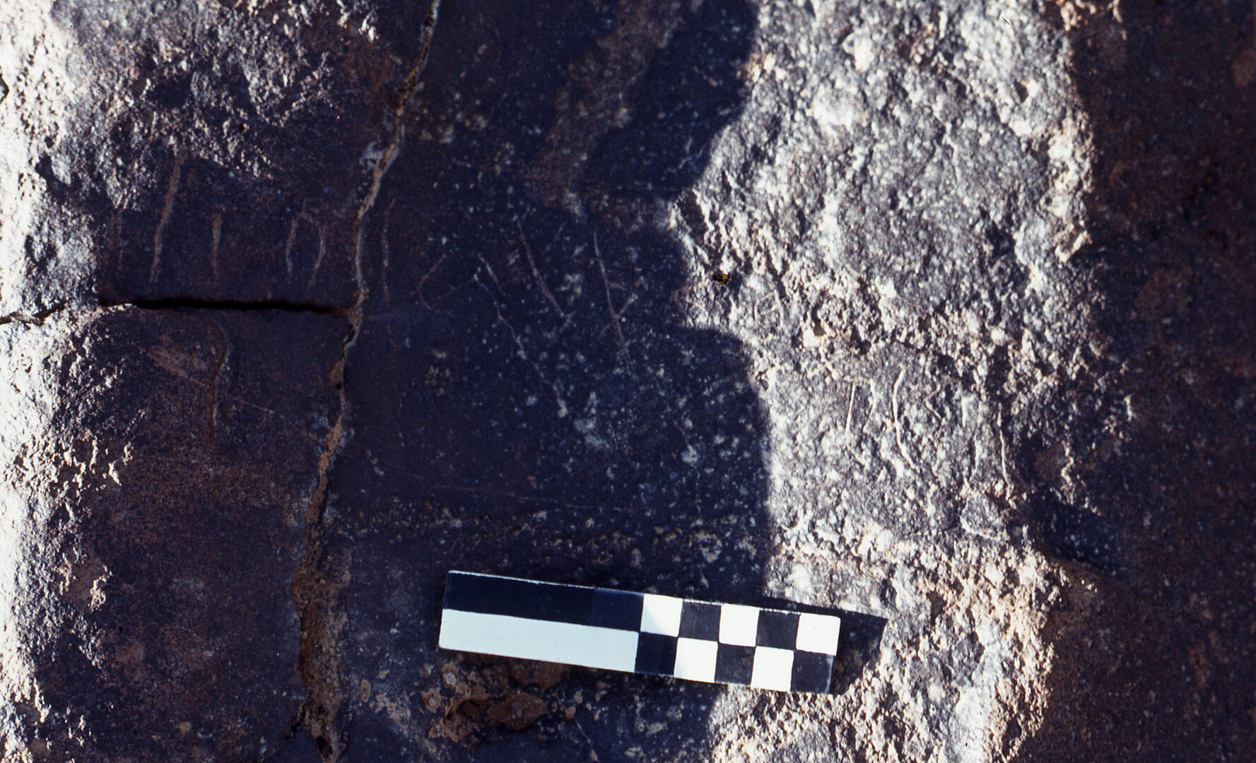 inscription of siglum CEDS 299