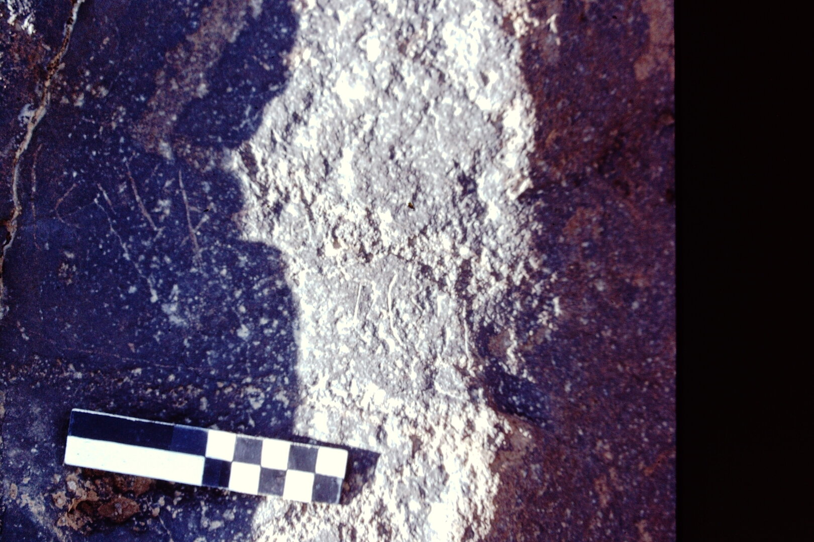 inscription of siglum CEDS 300
