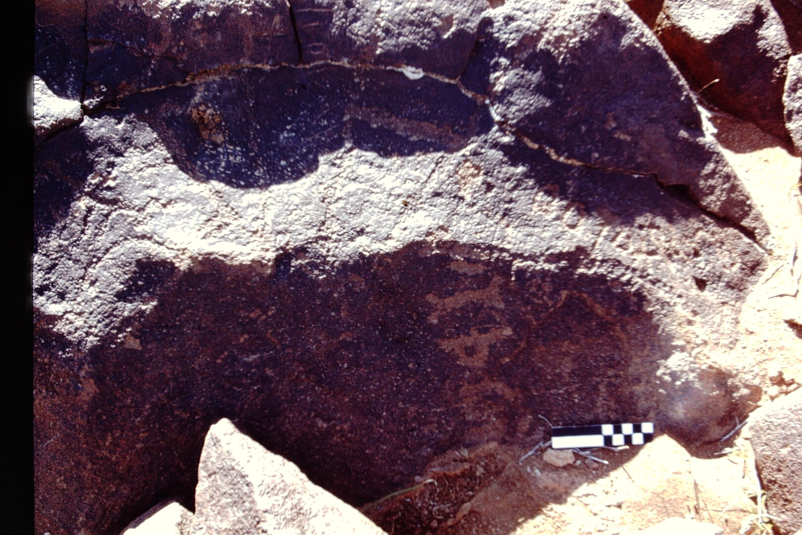 inscription of siglum CEDS 301