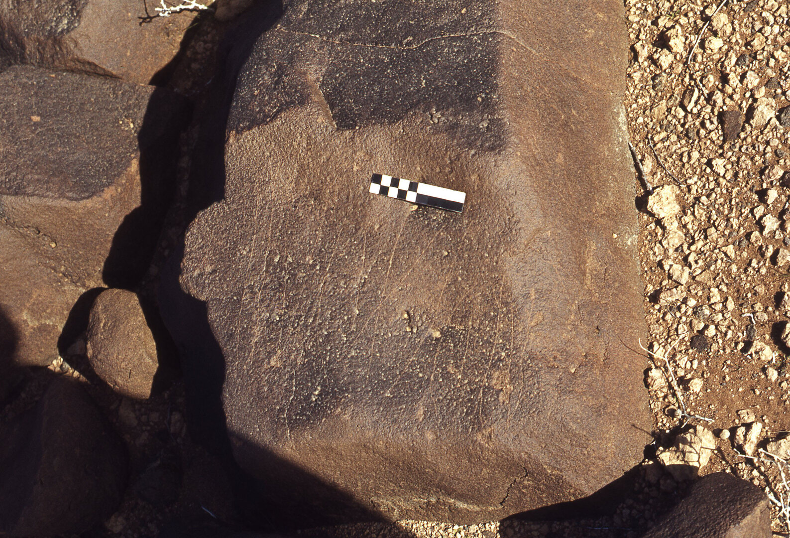 inscription of siglum CEDS 302