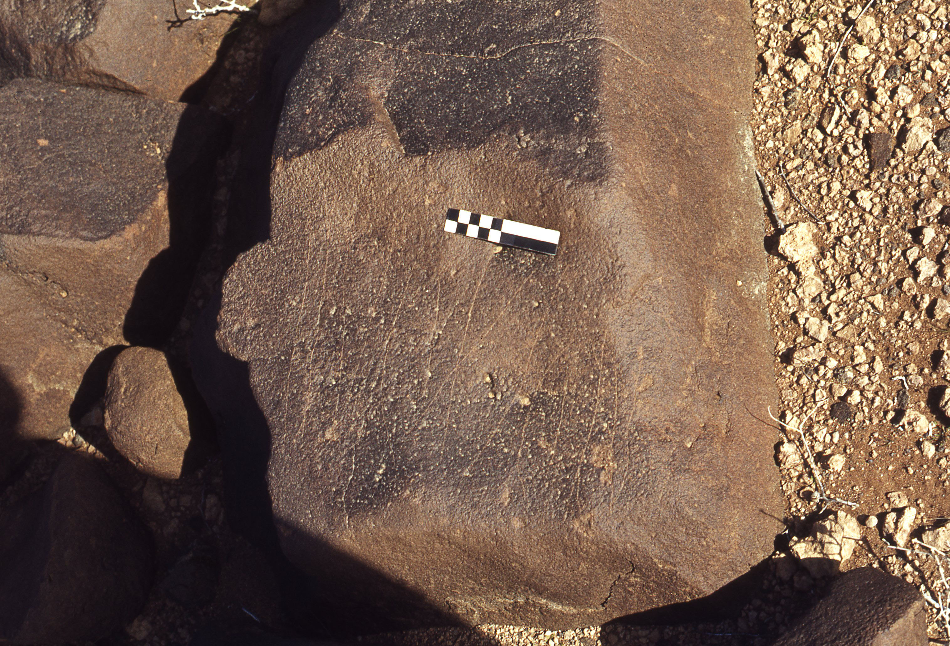 inscription of siglum CEDS 302