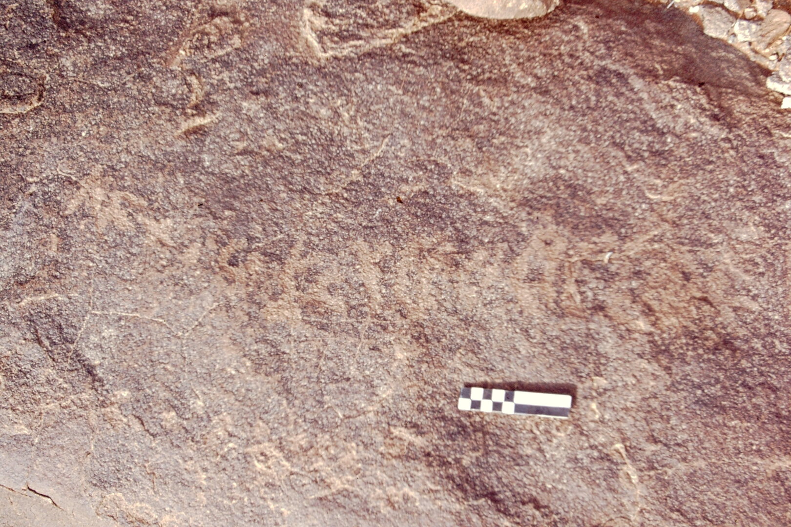 inscription of siglum CEDS 313