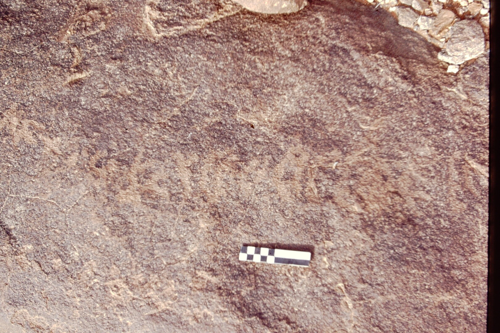 inscription of siglum CEDS 313
