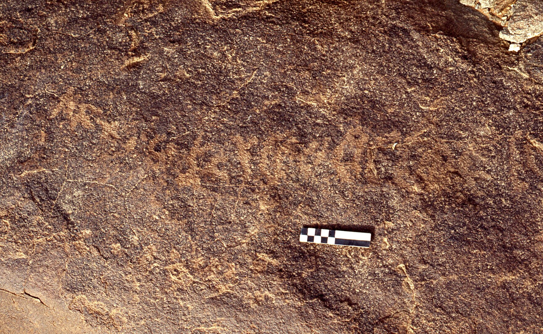 inscription of siglum CEDS 313