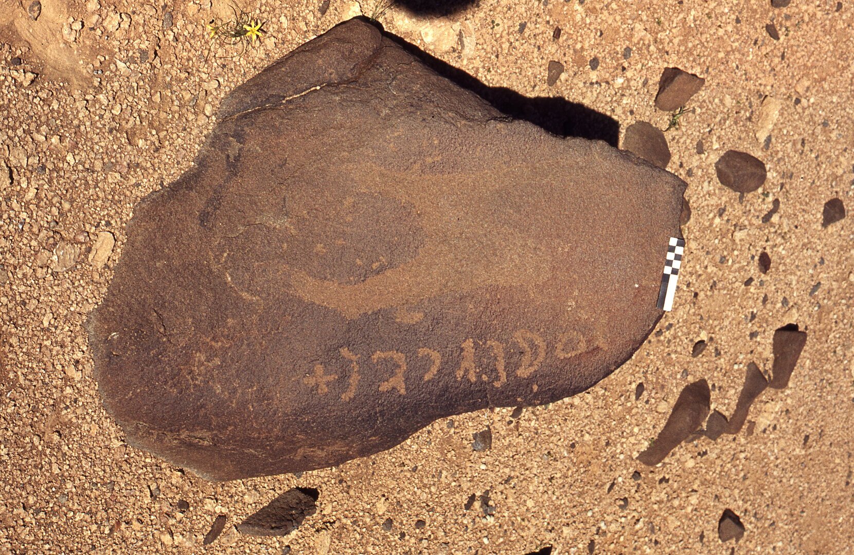 inscription of siglum CEDS 314