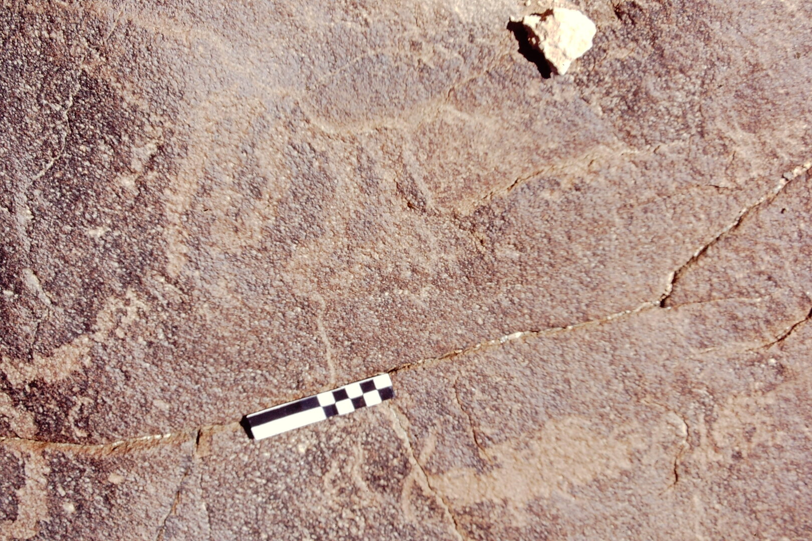 inscription of siglum CEDS 321