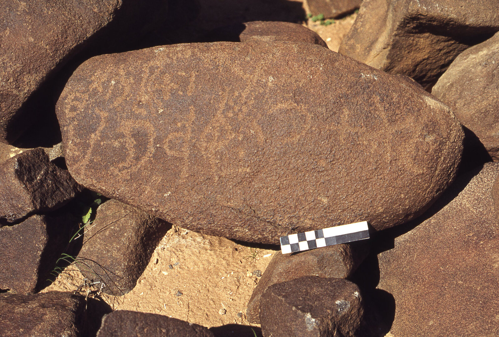 inscription of siglum CEDS 329