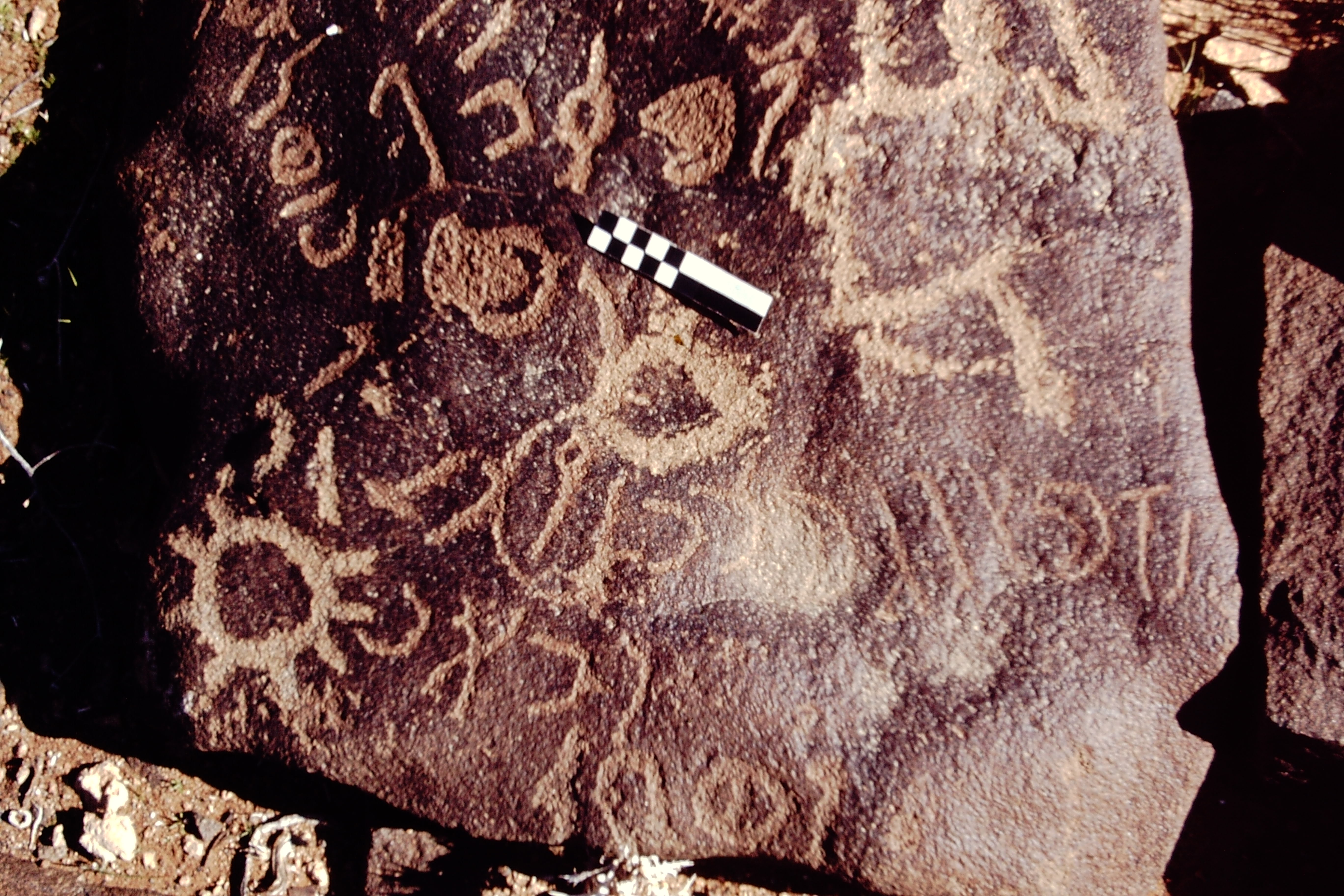 inscription of siglum CEDS 338