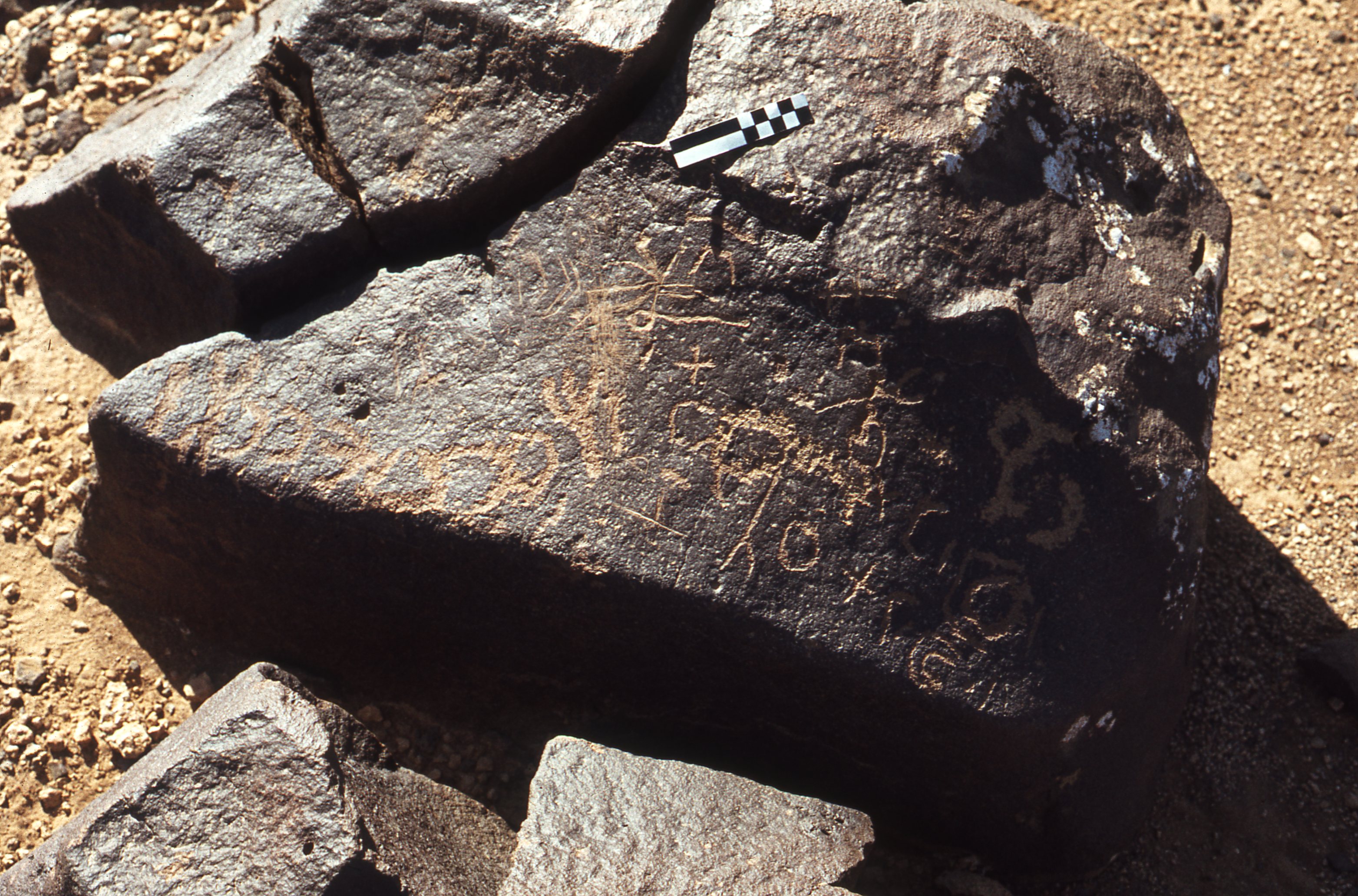 inscription of siglum CEDS 342