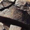 inscription of siglum CEDS 342
