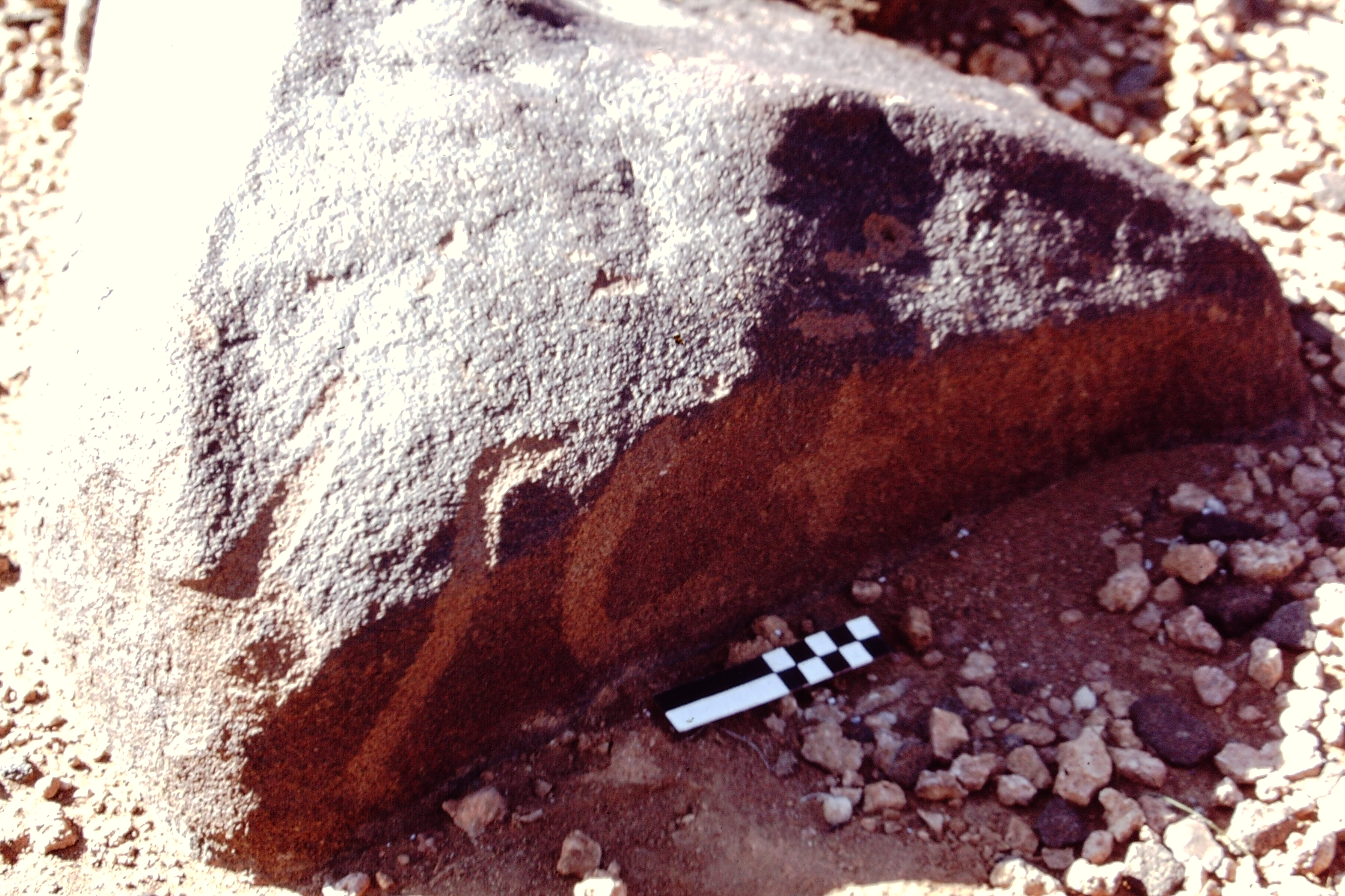 inscription of siglum CEDS 343