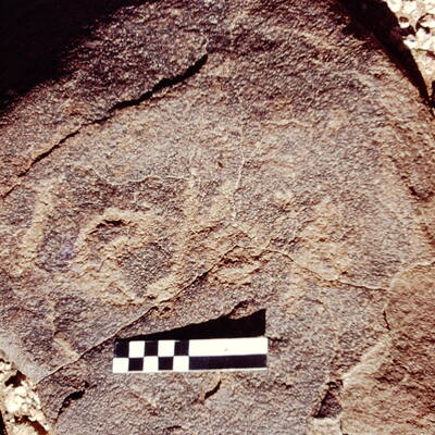 inscription of siglum CEDS 344