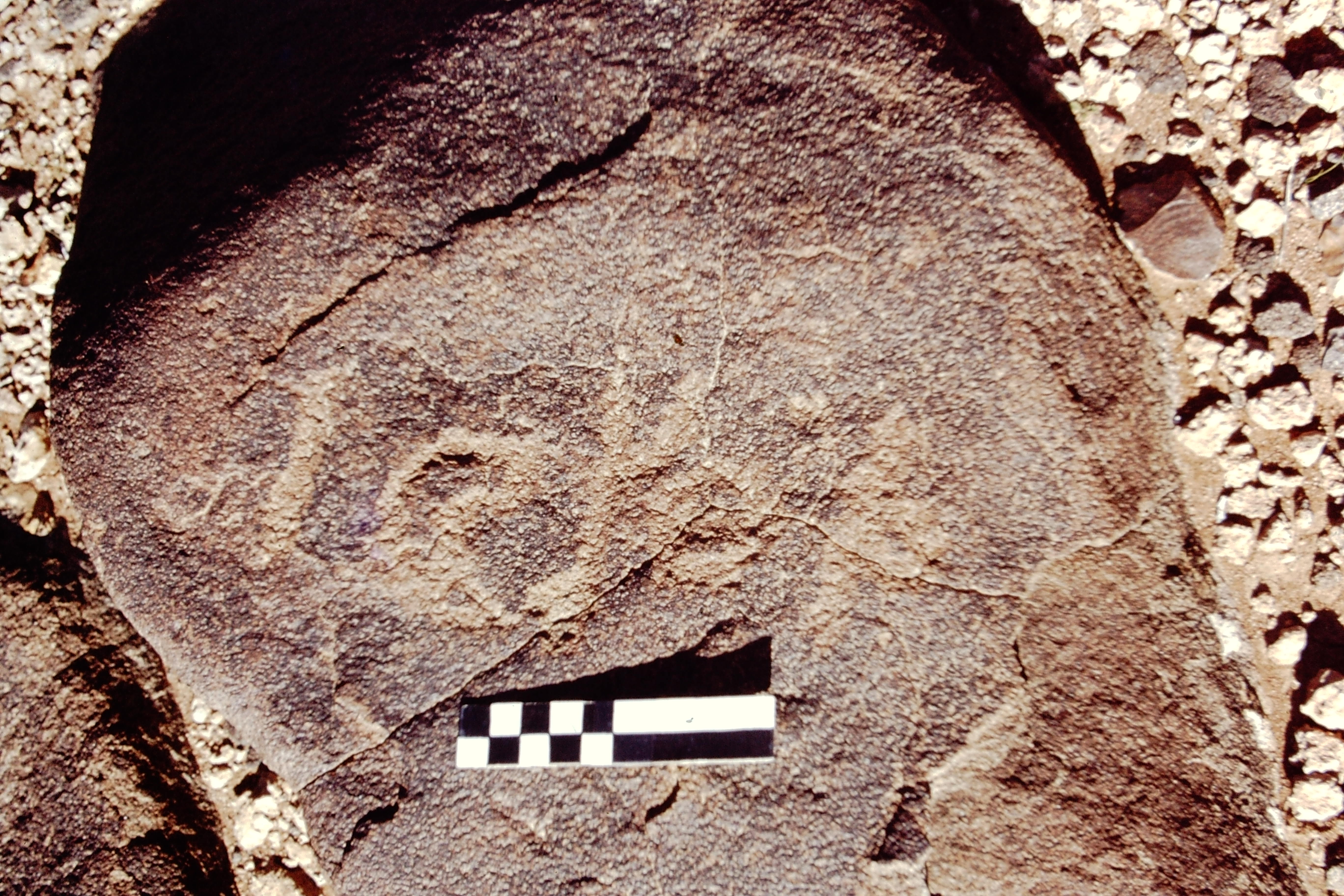 inscription of siglum CEDS 344