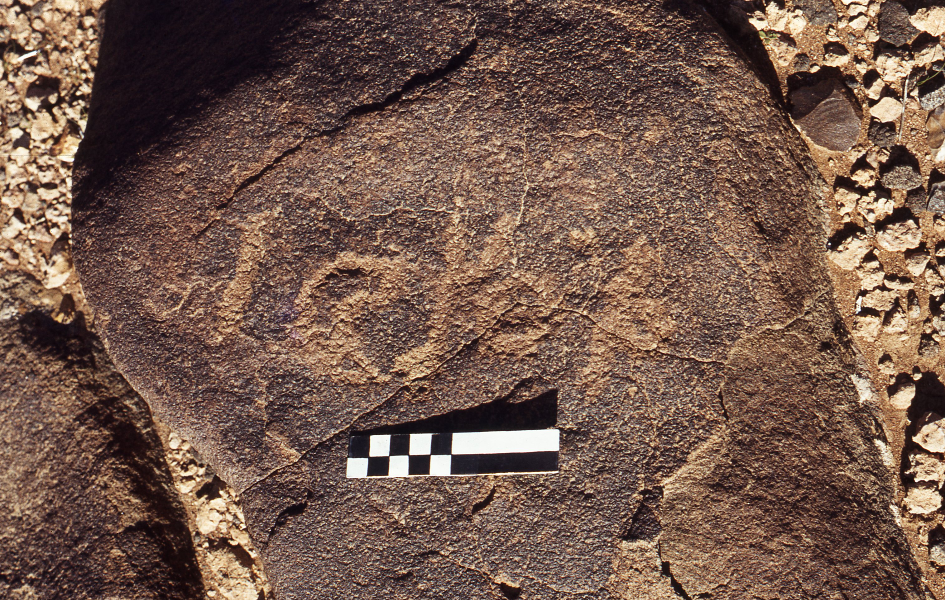 inscription of siglum CEDS 344