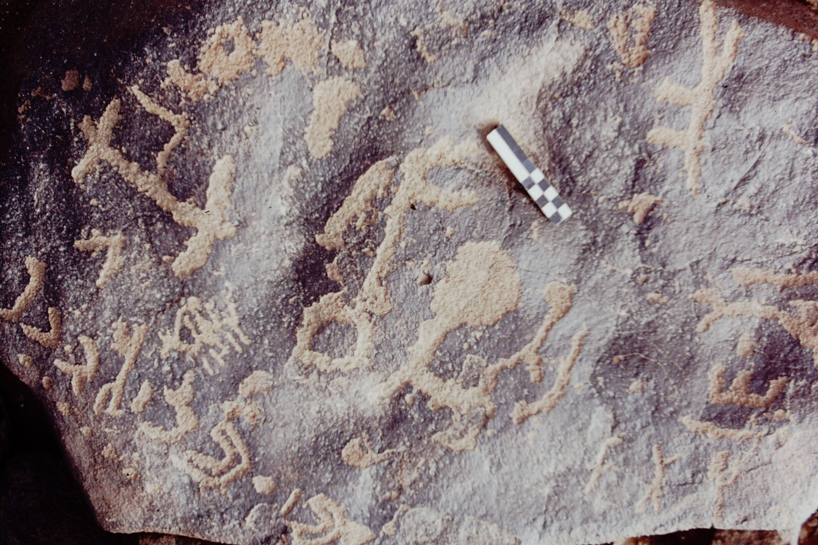 inscription of siglum CEDS 349