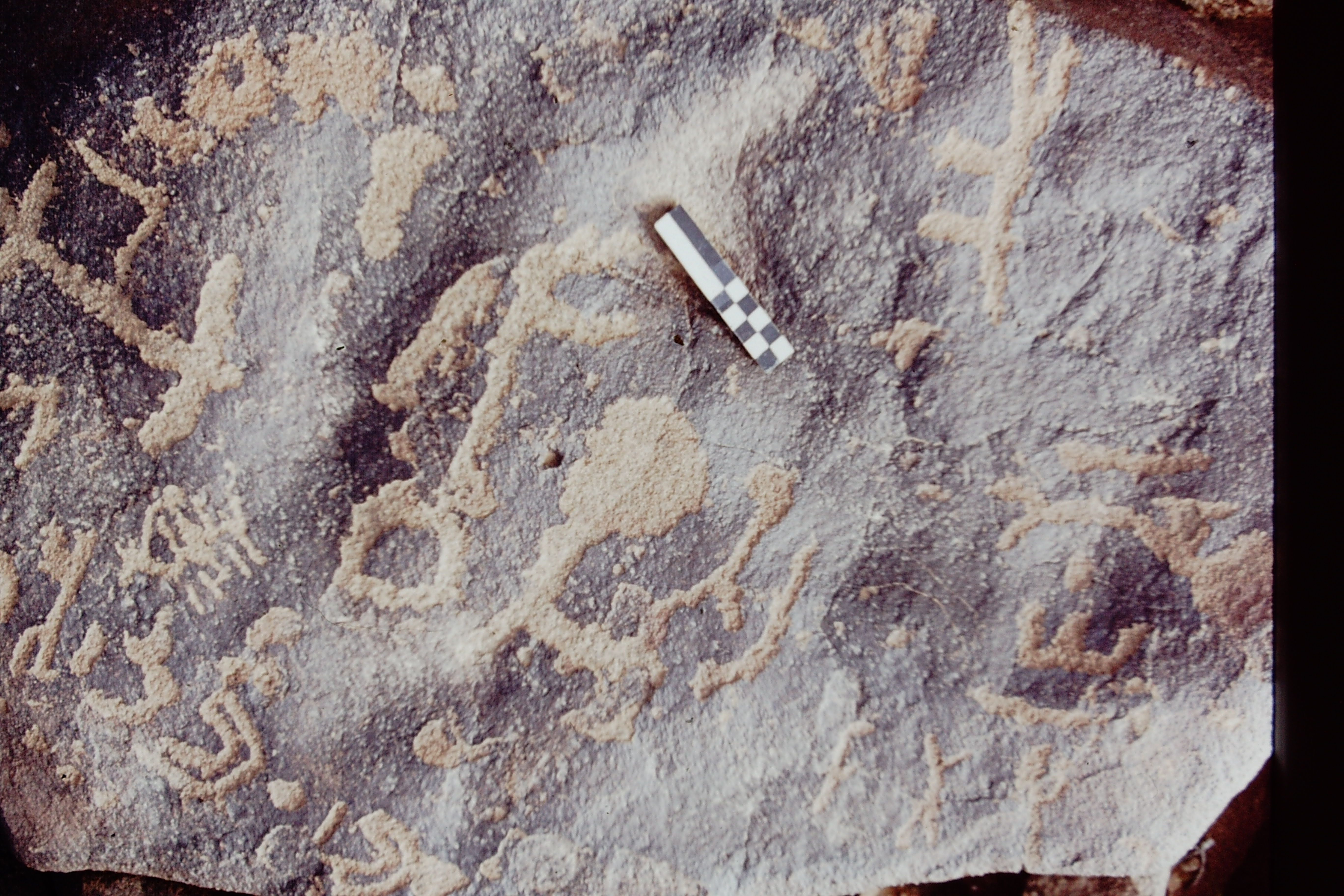 inscription of siglum CEDS 349