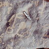 inscription of siglum CEDS 349
