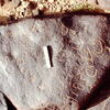 inscription of siglum CEDS 351