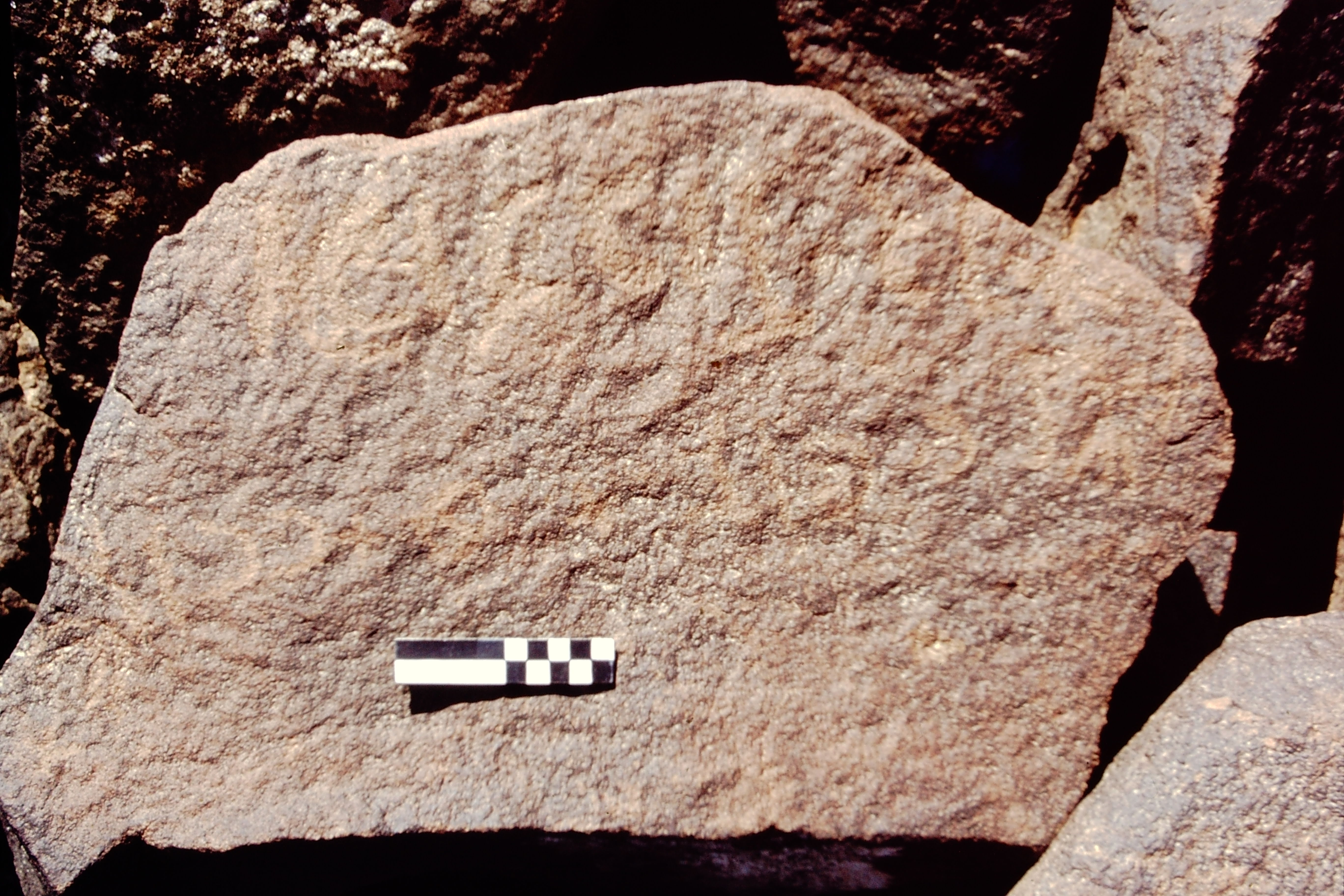 inscription of siglum CEDS 358