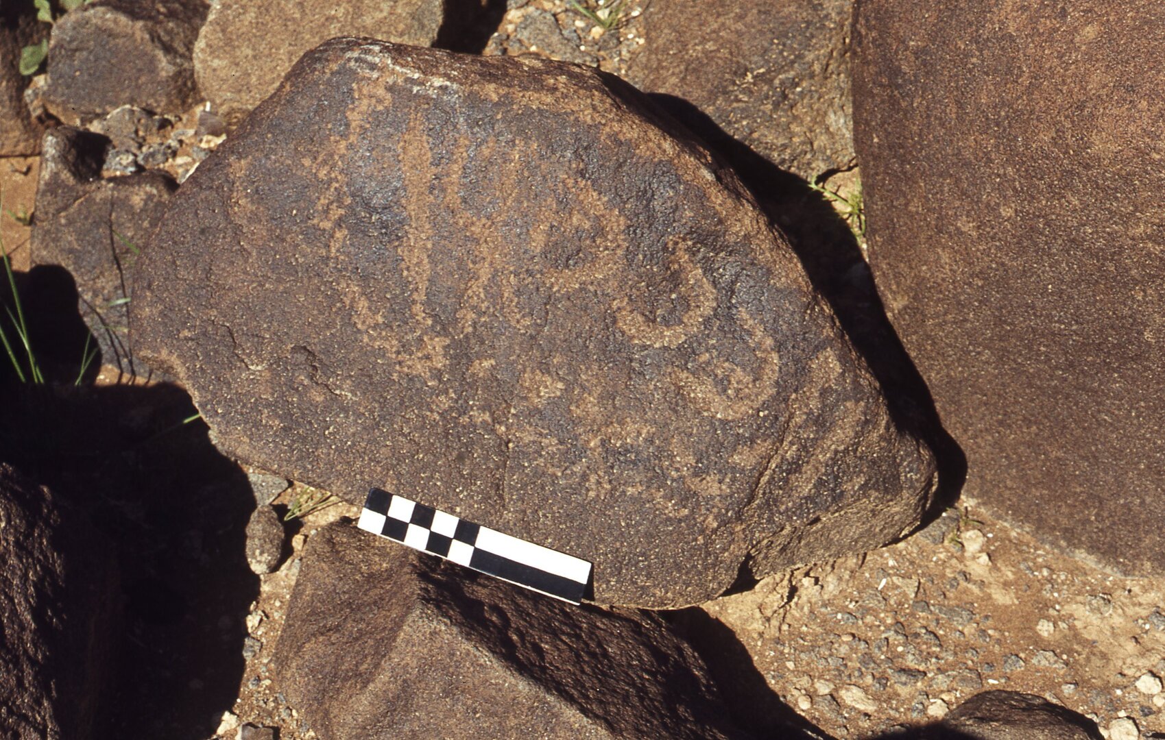 inscription of siglum CEDS 361