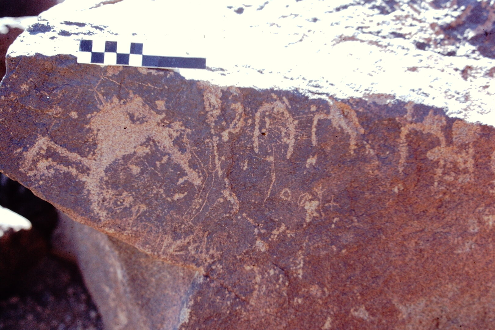 inscription of siglum CEDS 365