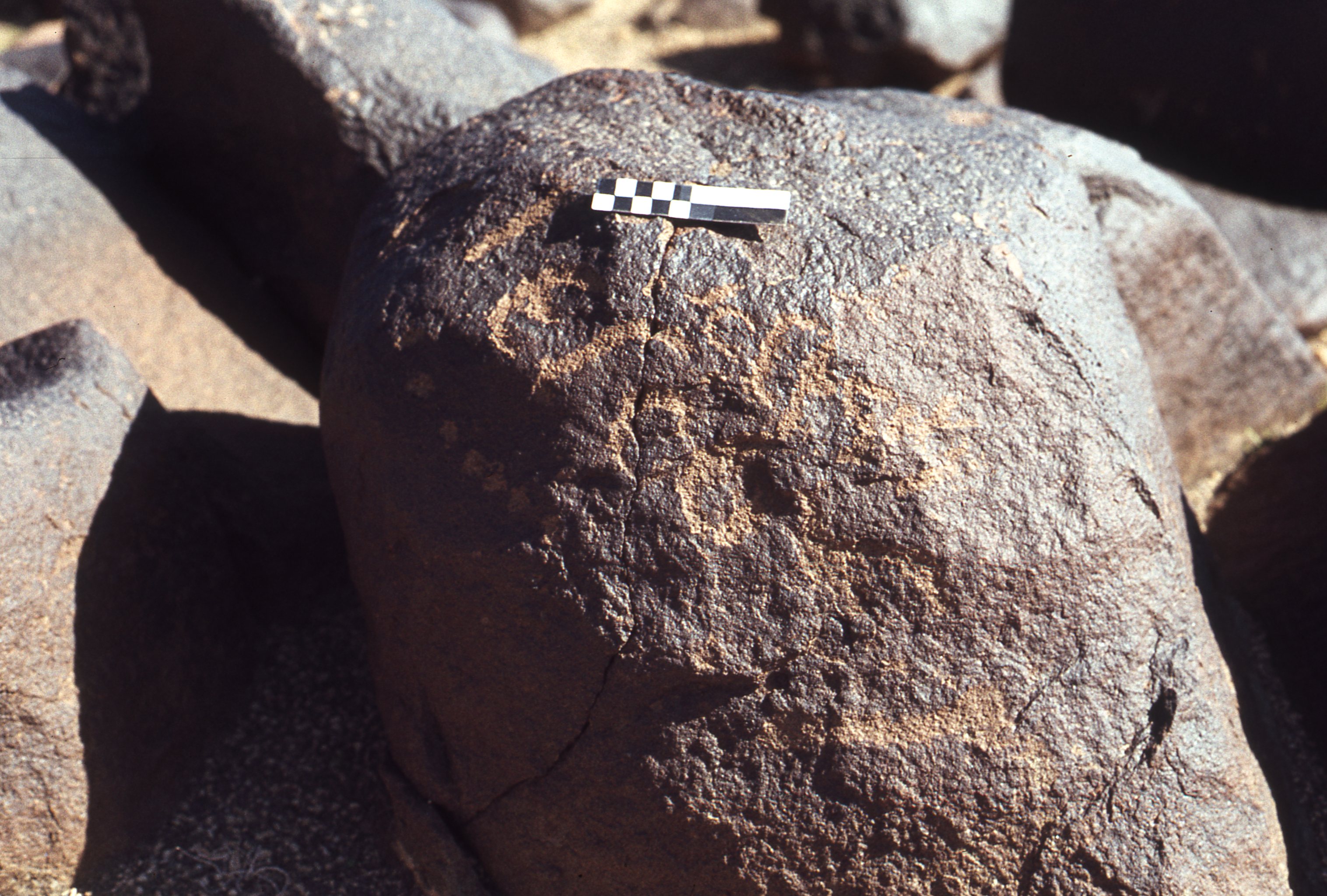 inscription of siglum CEDS 372