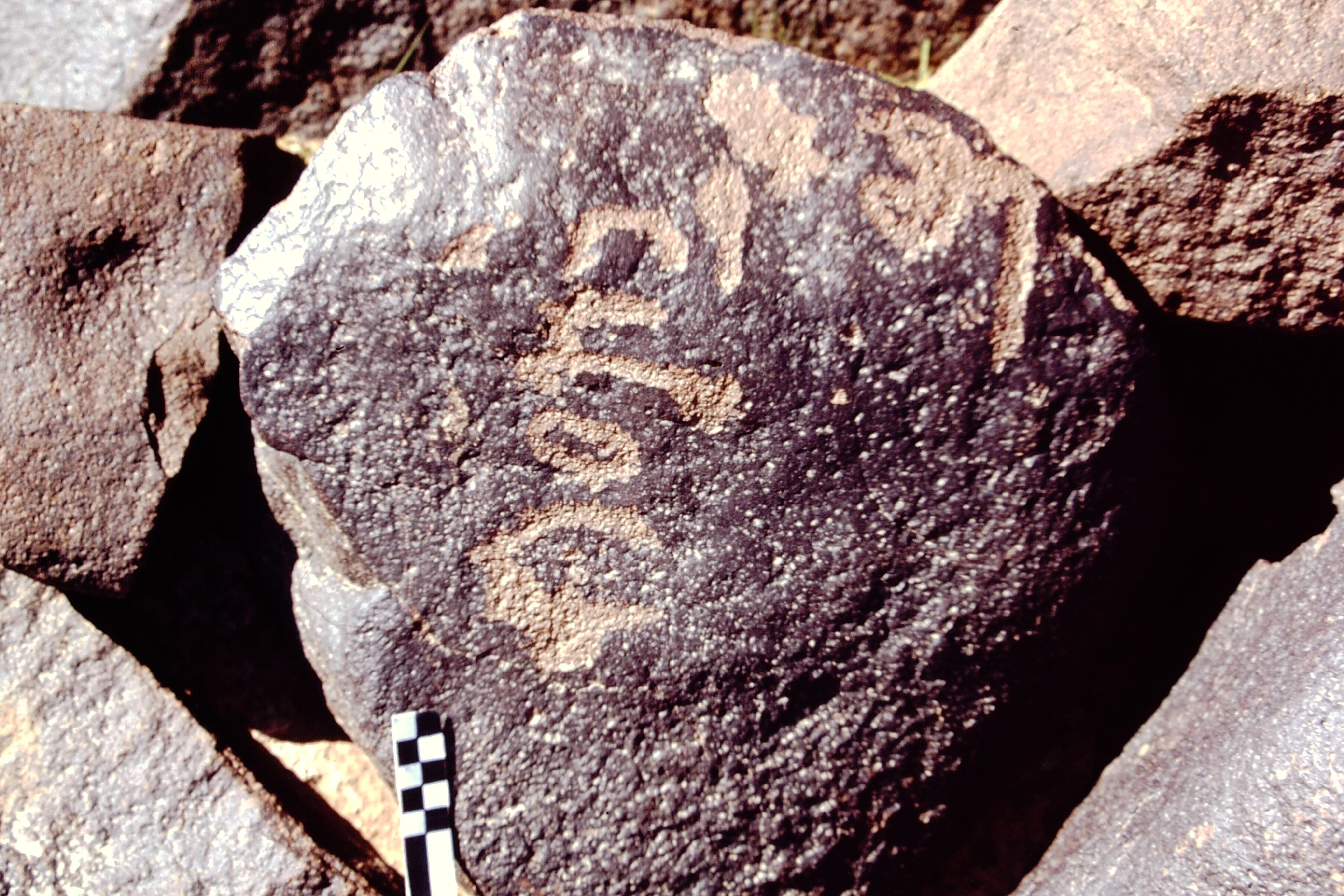 inscription of siglum CEDS 389