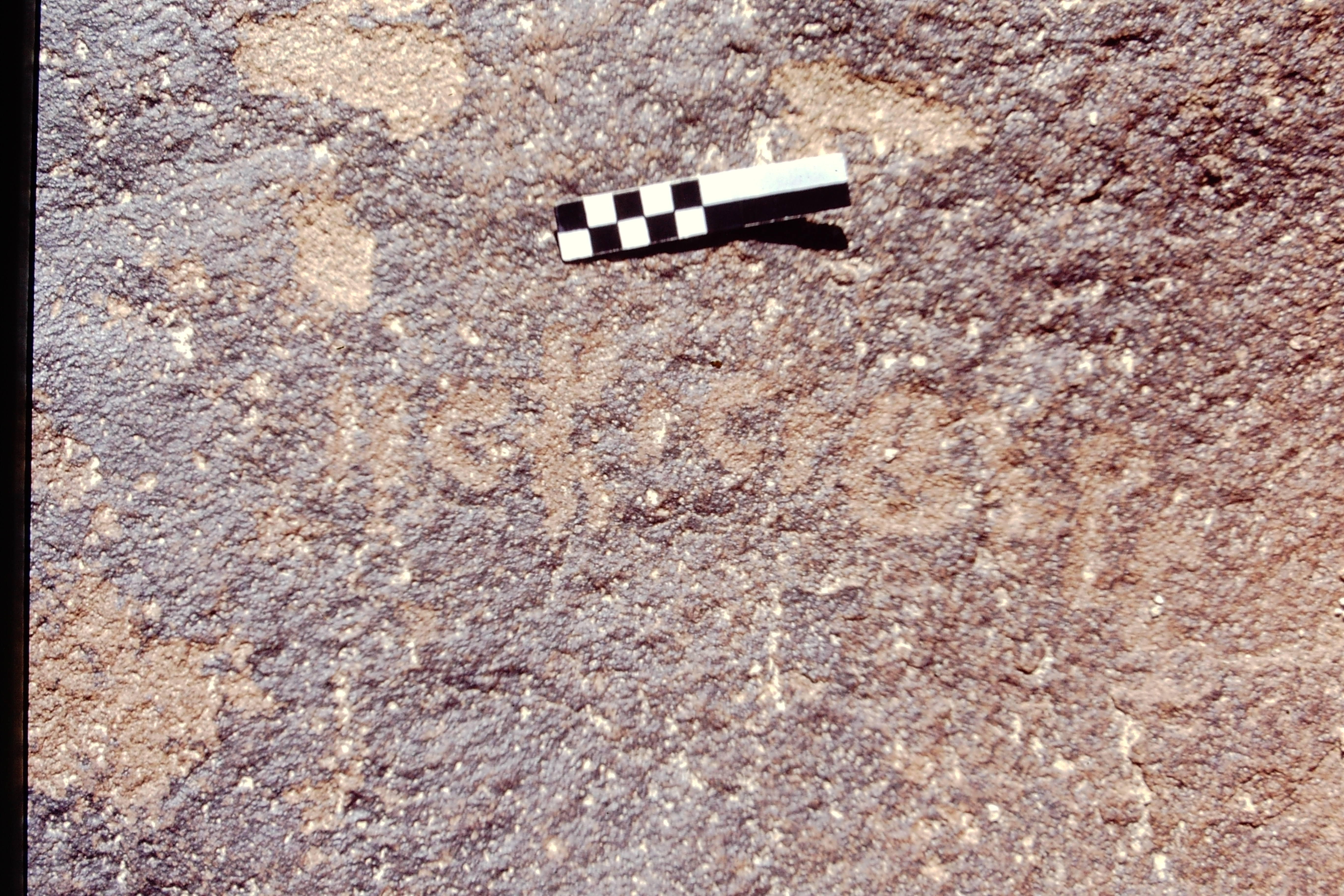 inscription of siglum CEDS 395