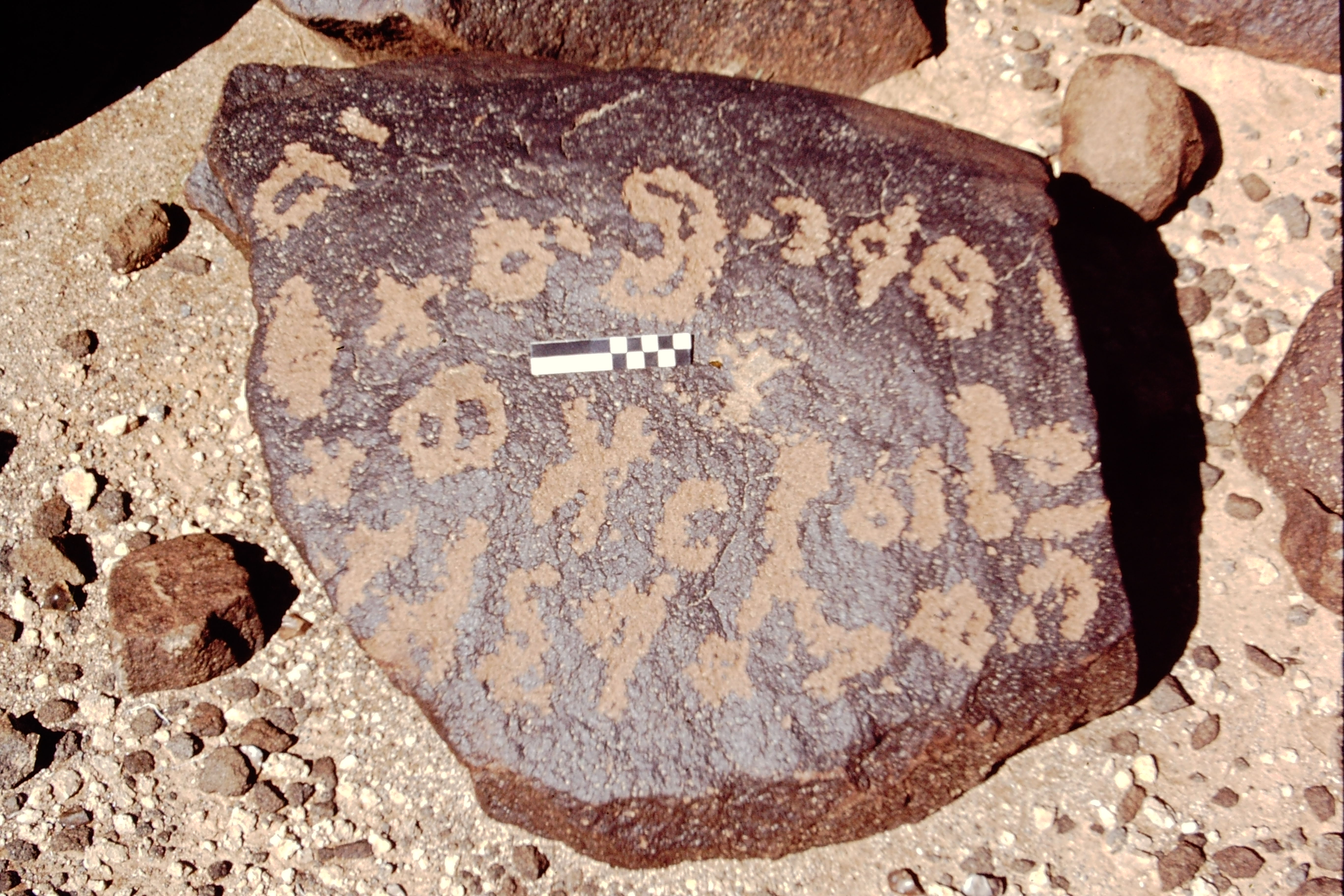 inscription of siglum CEDS 401