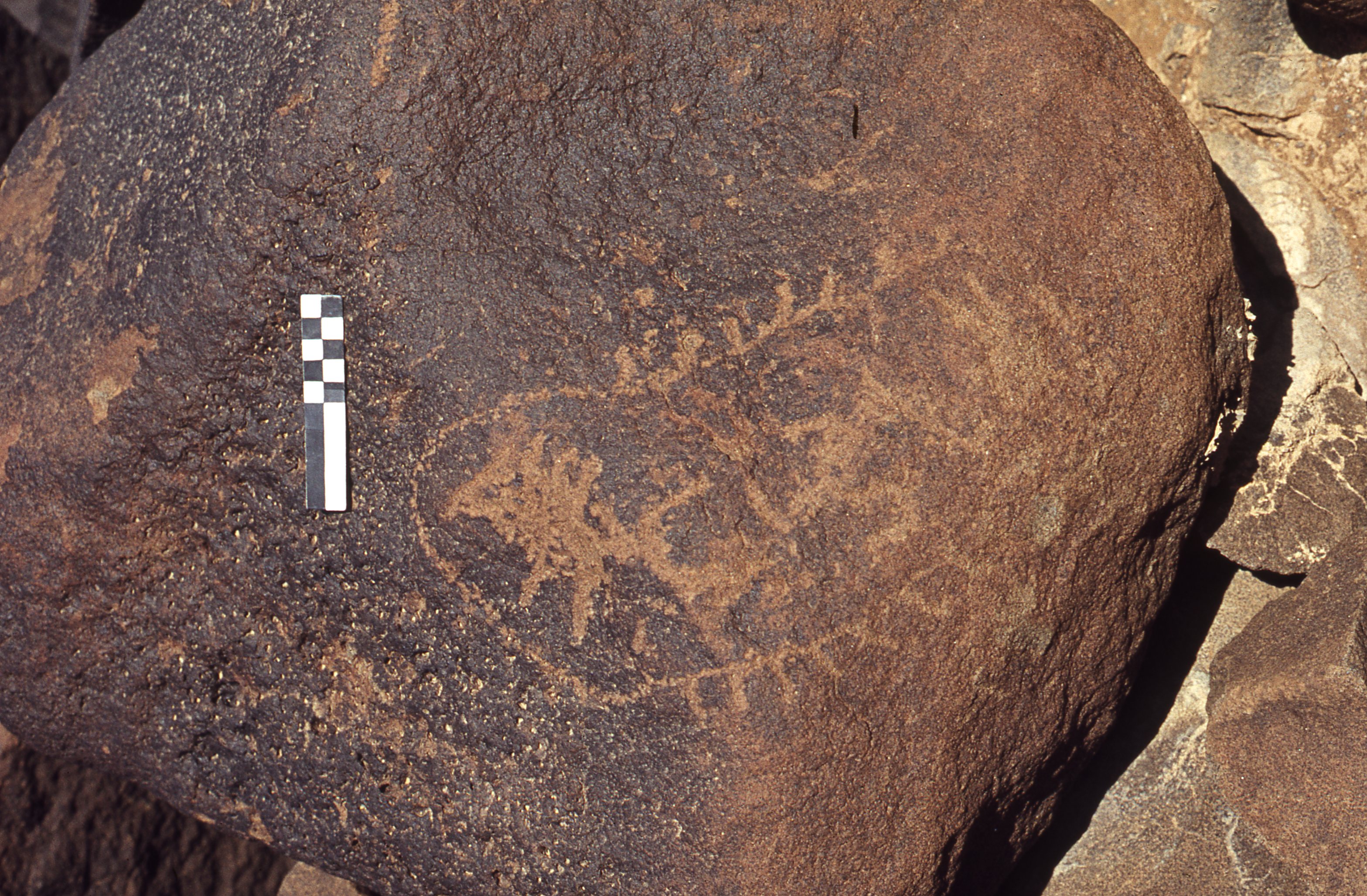 inscription of siglum CEDS 403