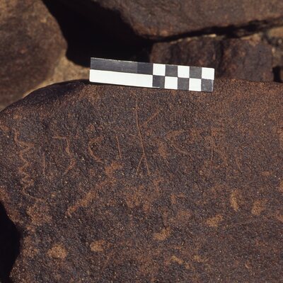 inscription of siglum CEDS 406