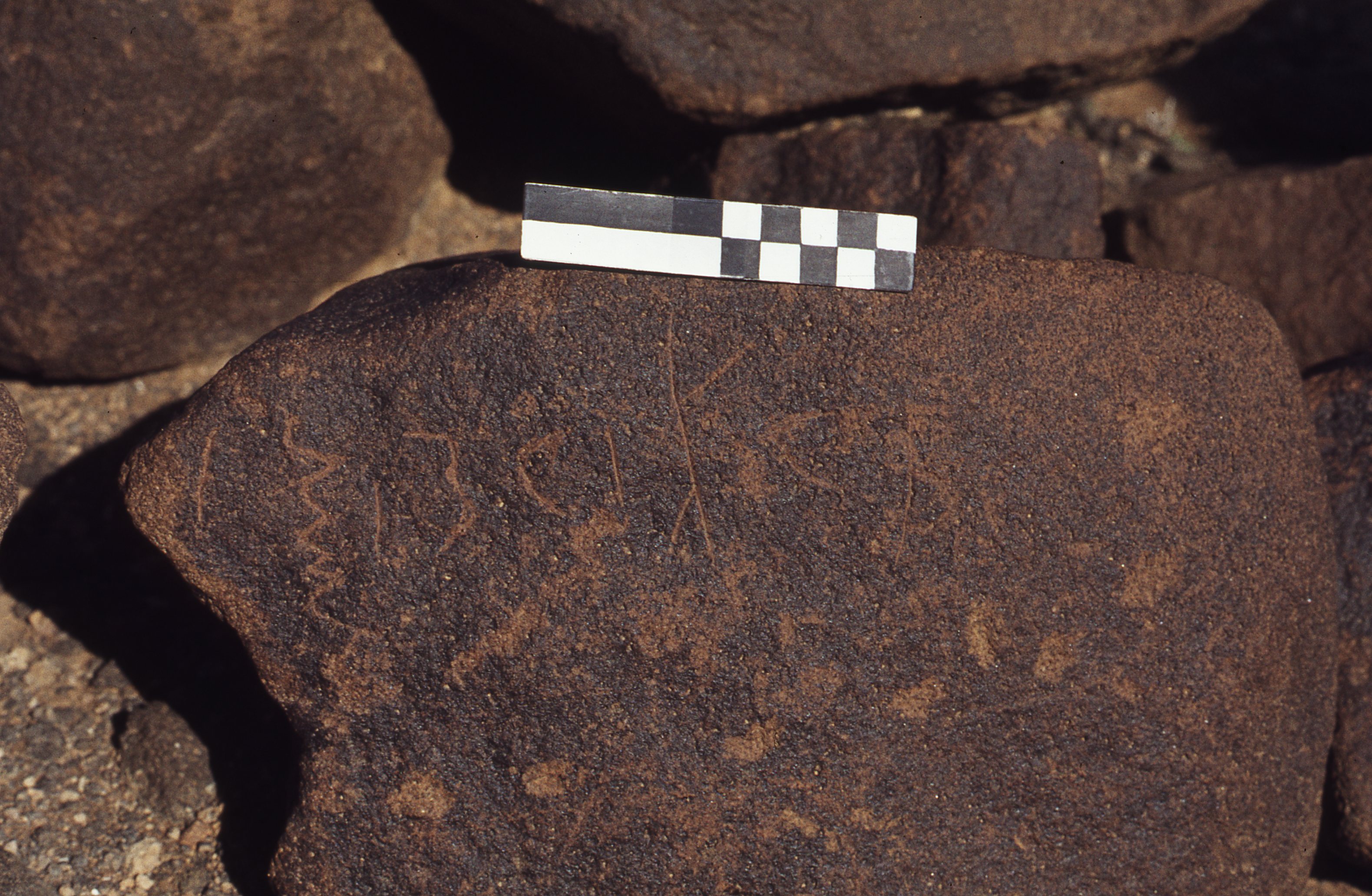 inscription of siglum CEDS 406