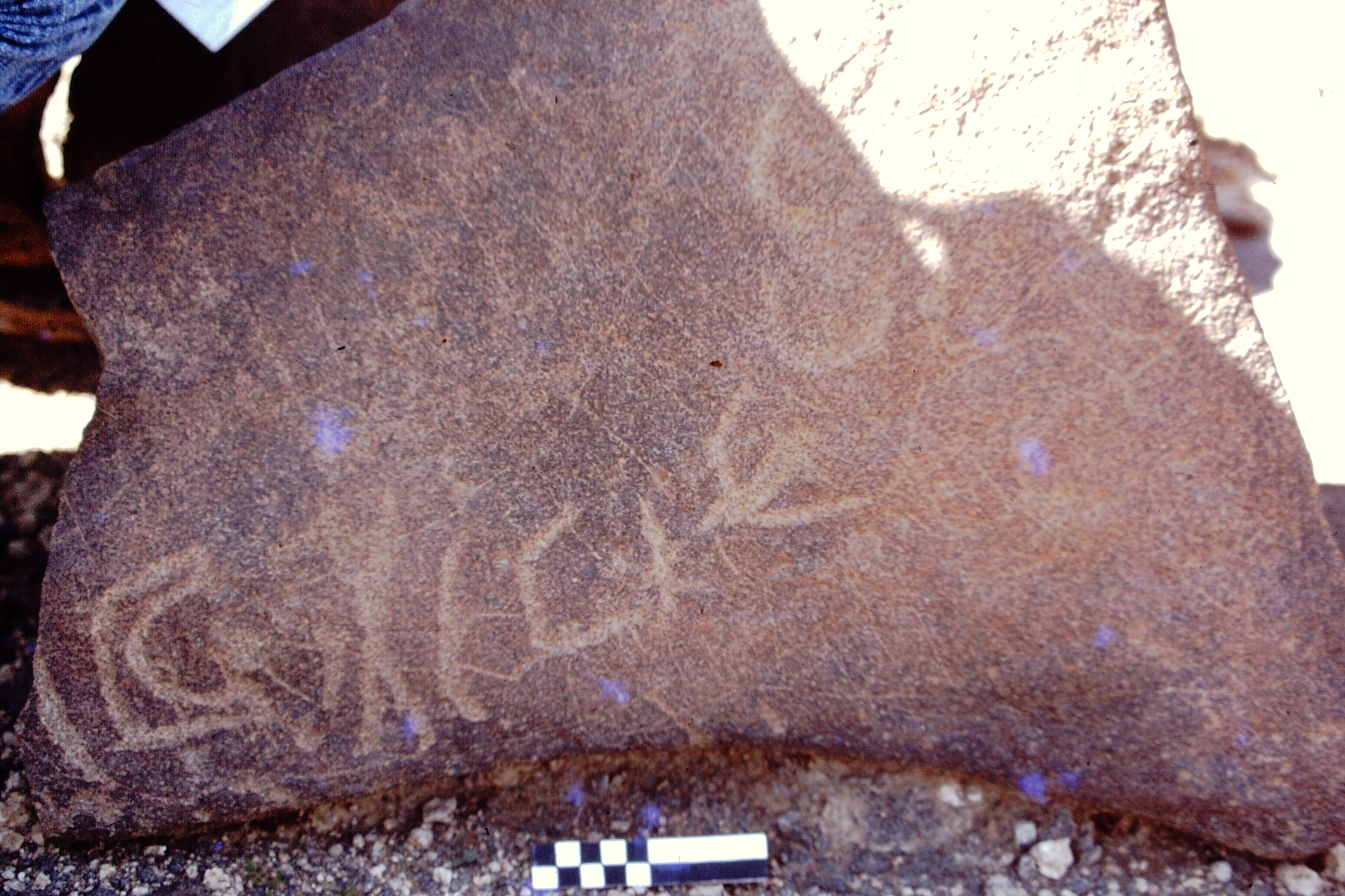 inscription of siglum CEDS 422
