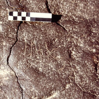 inscription of siglum CEDS 429
