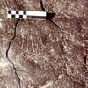 inscription of siglum CEDS 429